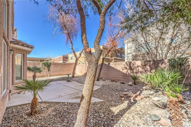 view of yard with a patio