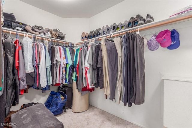 spacious closet with carpet floors