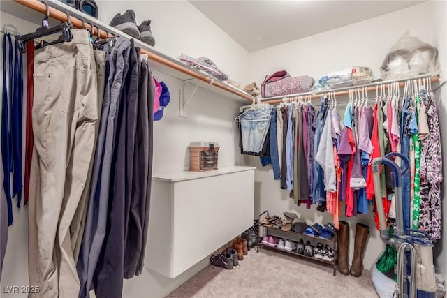 spacious closet featuring light carpet