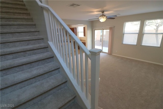 staircase featuring ceiling fan and carpet floors