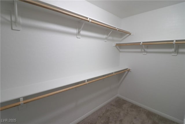 spacious closet featuring dark carpet