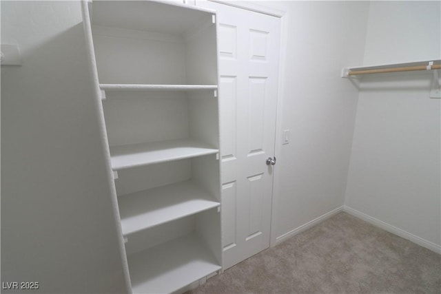 spacious closet with light colored carpet