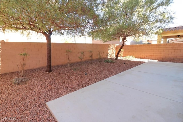 view of yard with a patio area