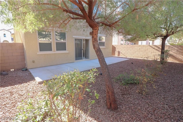 view of yard featuring a patio area