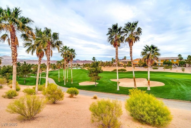 view of property's community with view of golf course and a lawn