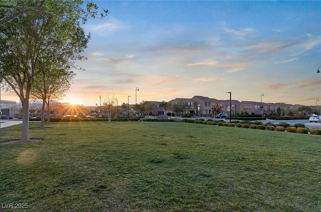 view of yard at dusk