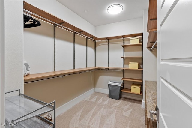 spacious closet with light carpet