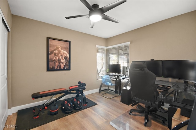 home office with ceiling fan and light hardwood / wood-style flooring