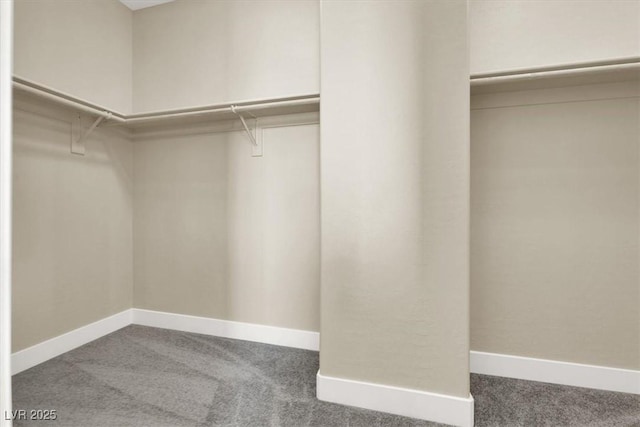 spacious closet featuring carpet flooring