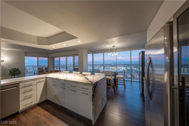 kitchen featuring dark wood-type flooring, white cabinetry, light stone counters, kitchen peninsula, and stainless steel appliances