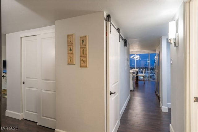 hallway with expansive windows, a barn door, and dark hardwood / wood-style floors