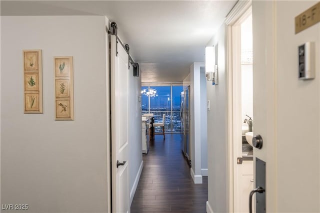 hall featuring dark wood-type flooring and a barn door