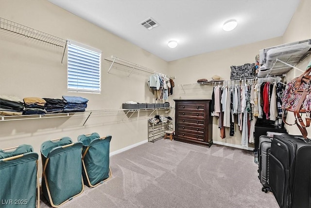 spacious closet with light carpet