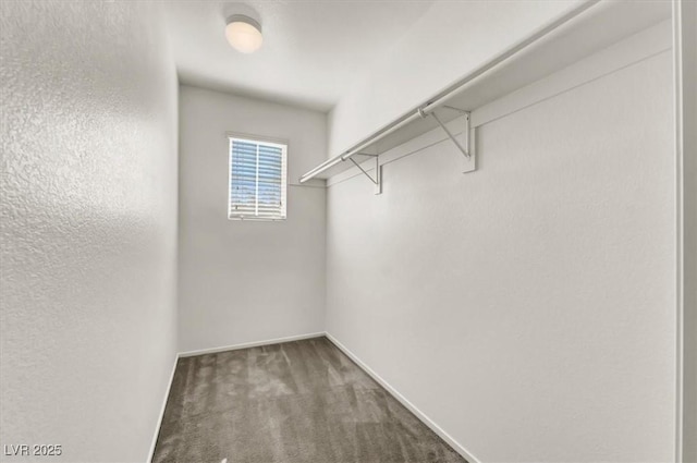 spacious closet with dark carpet