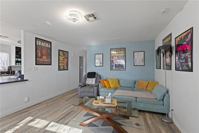 living room featuring sink and wood-type flooring