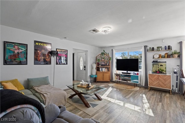 living room featuring wood-type flooring