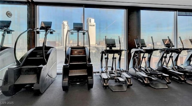 workout area with expansive windows