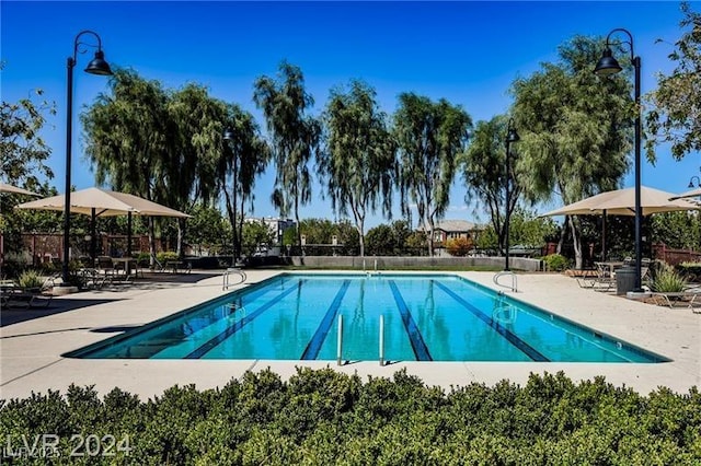 view of swimming pool with a patio