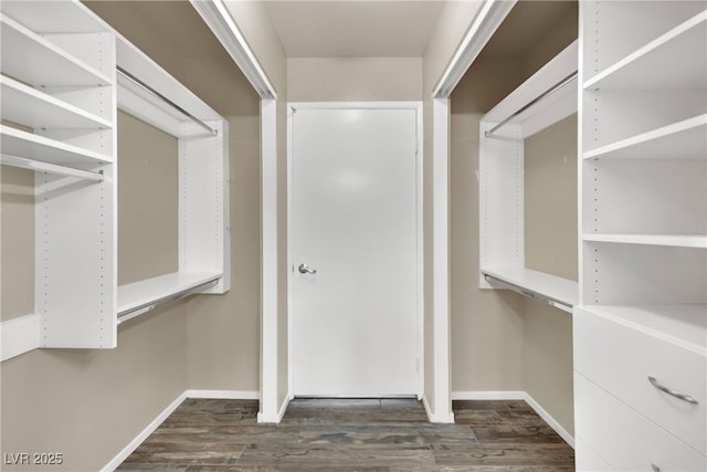 spacious closet featuring dark hardwood / wood-style floors