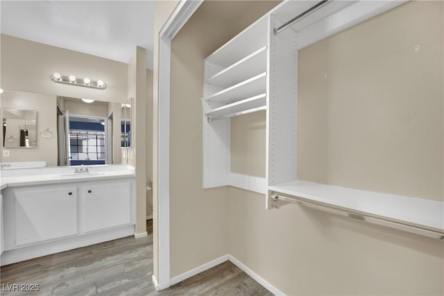 spacious closet with hardwood / wood-style flooring and sink