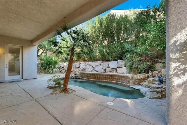 view of swimming pool featuring a patio