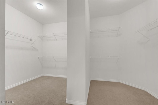 spacious closet with light carpet