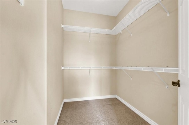 view of walk in closet