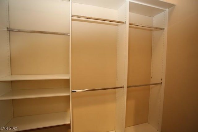 view of closet