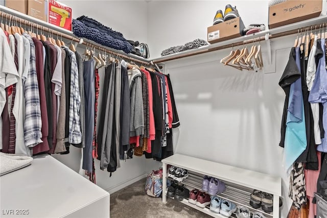 view of spacious closet