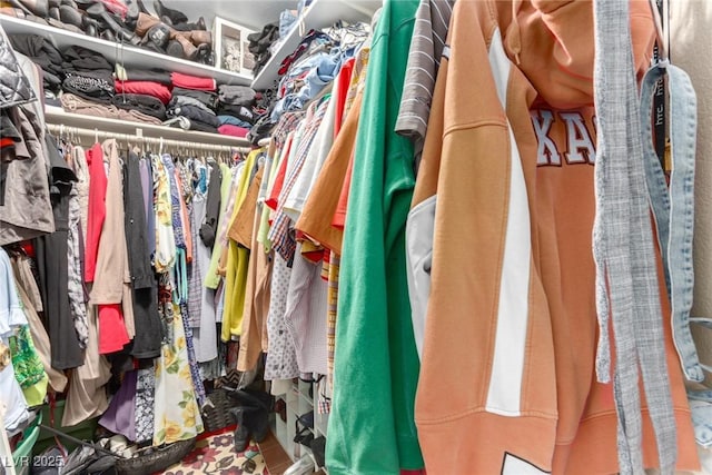 view of walk in closet