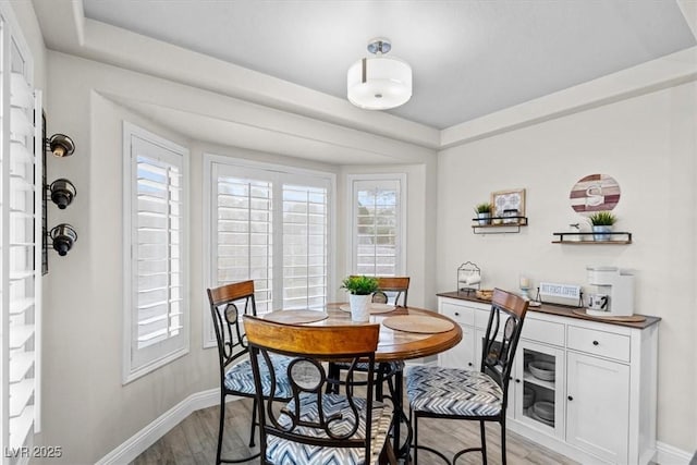 dining room with light hardwood / wood-style floors