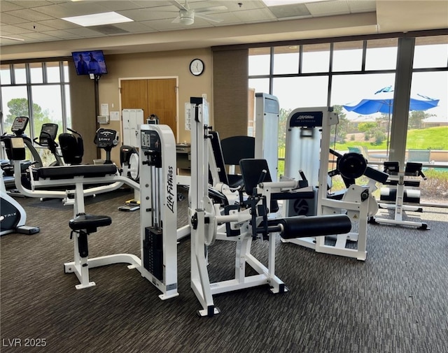 workout area with floor to ceiling windows, a paneled ceiling, and dark carpet