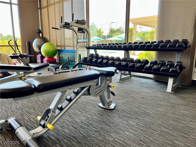 workout area with a healthy amount of sunlight and dark colored carpet