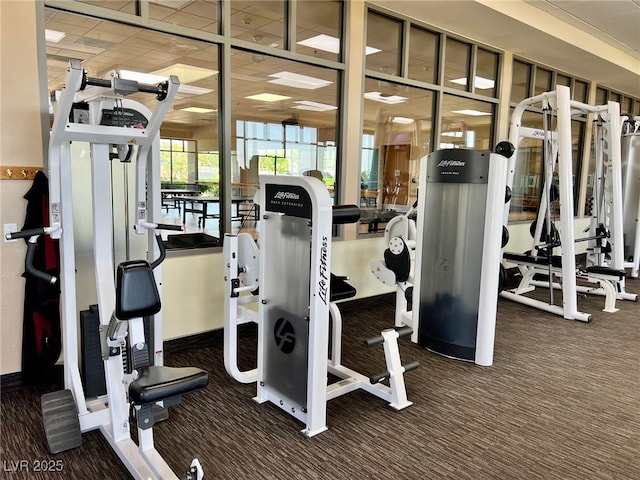 workout area with dark carpet