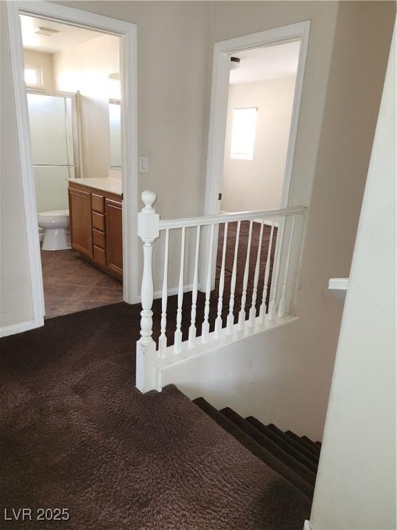 stairway with carpet flooring