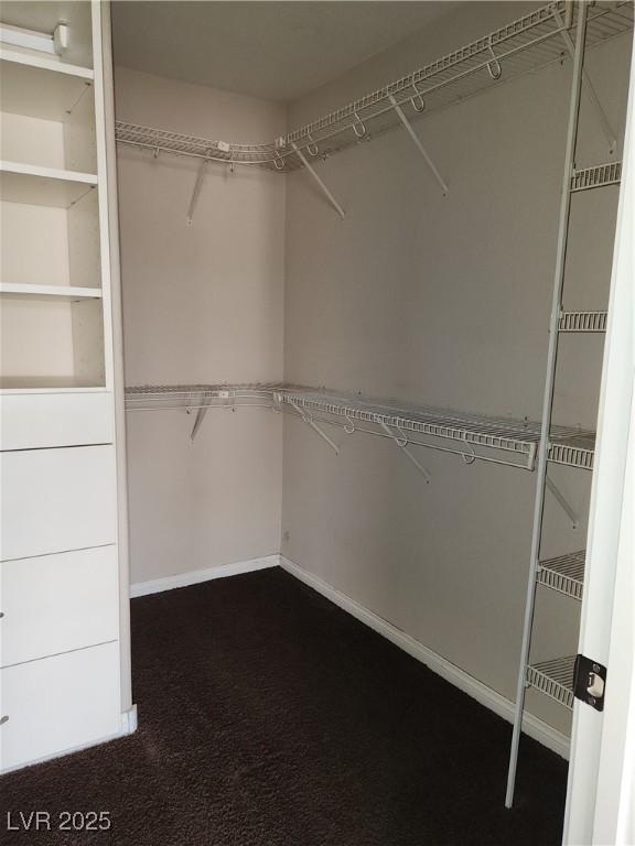 spacious closet with dark colored carpet