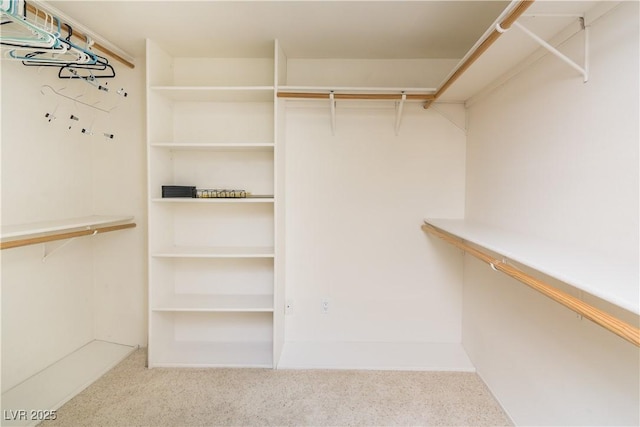 spacious closet featuring carpet floors