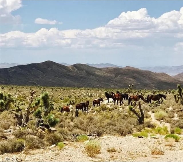 property view of mountains featuring a rural view