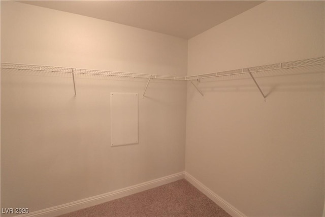 spacious closet with carpet flooring