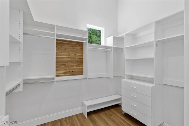 walk in closet featuring hardwood / wood-style floors