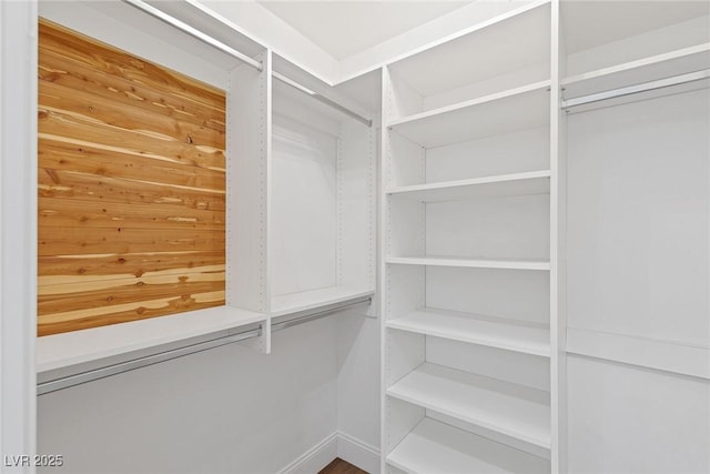 view of spacious closet