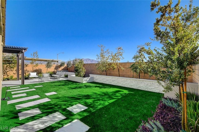 view of yard featuring a patio area