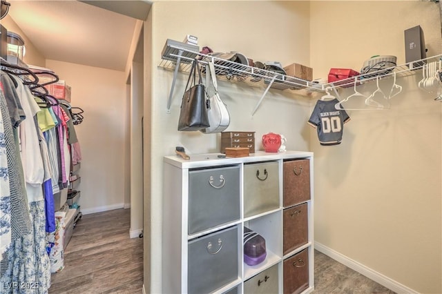 spacious closet with dark hardwood / wood-style floors