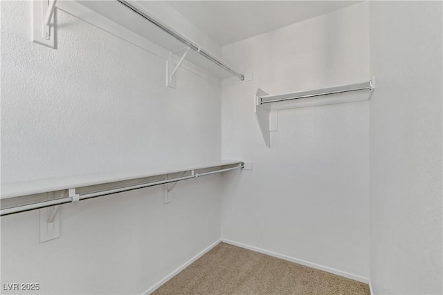 spacious closet with light carpet