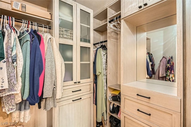 view of spacious closet