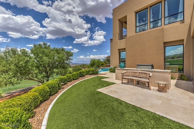 view of yard featuring a patio area