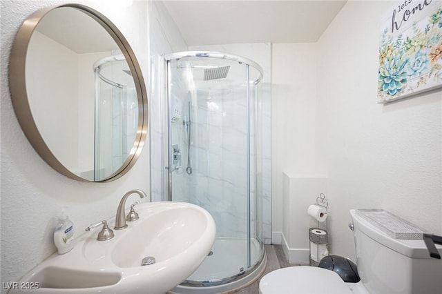 full bathroom featuring a sink, a shower stall, and toilet