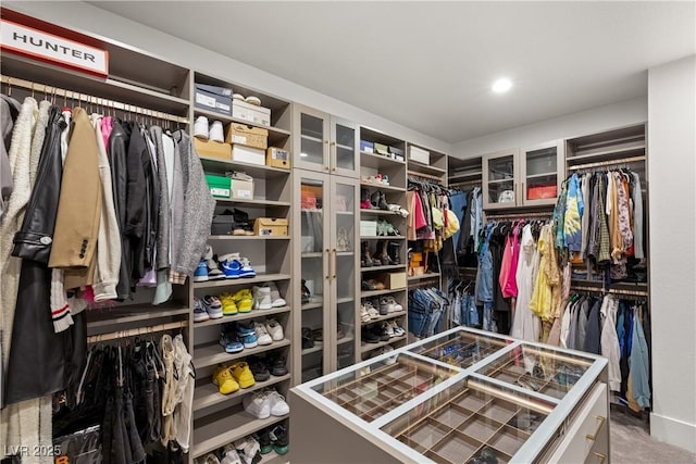 view of spacious closet