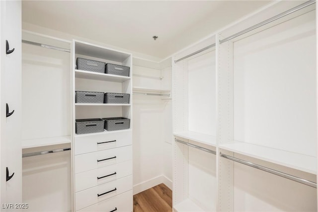 spacious closet featuring light wood-type flooring