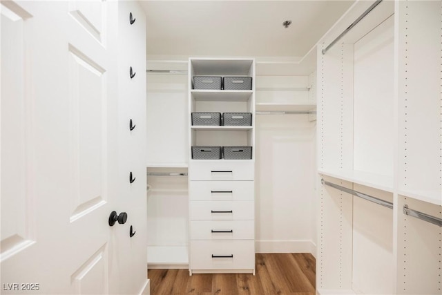 walk in closet featuring light hardwood / wood-style floors